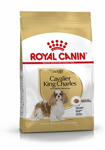 Royal Canin Cavalier King Charles 